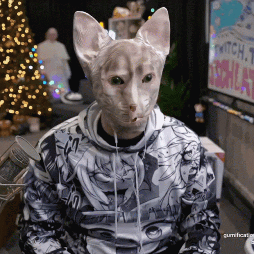 A Person Wearing A Cat Mask And A Hoodie That Says Gumification On The Bottom GIF