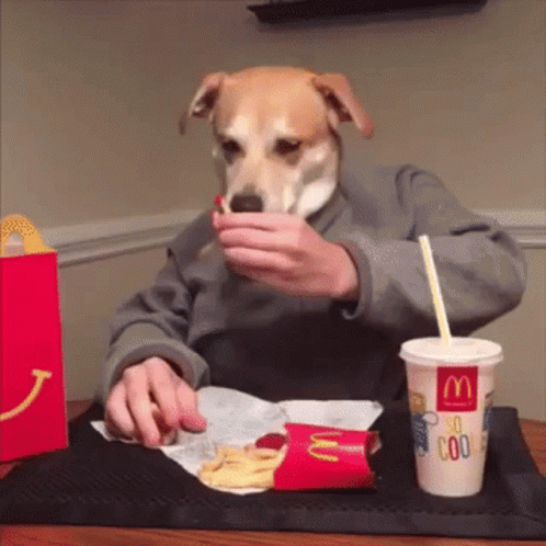 A Person Wearing A Dog Mask Is Eating French Fries From A Mcdonald 'S Cup GIF