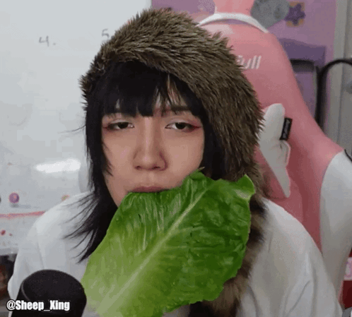 A Person Wearing A Fur Hat Is Eating Lettuce GIF