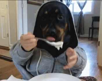 A Person Wearing A Hoodie With A Dog Face On It GIF