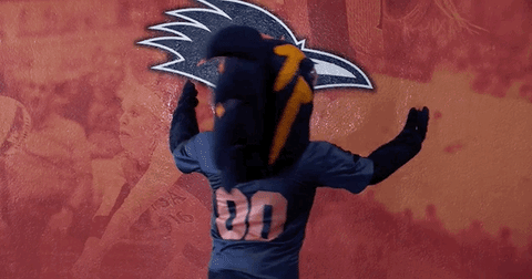 a person wearing a mascot costume with the number 316 on the back of their shirt