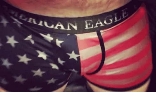 A Person Wearing A Pair Of American Eagle Boxer Briefs GIF