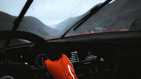 A Person Wearing A Red Glove Driving A Car GIF