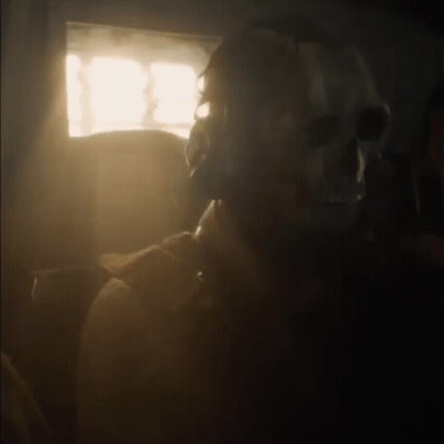 A Person Wearing A Skull Mask Is Sitting In A Dark Room With The Sun Shining Through The Window . GIF
