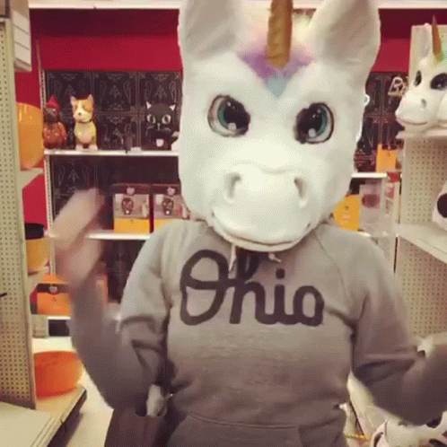 A Person Wearing A Unicorn Mask And A Ohio Shirt GIF