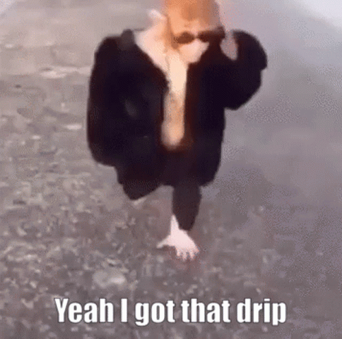 A Person Wearing Sunglasses And A Fur Coat Is Walking In The Water And Says Yeah I Got That Drip . GIF