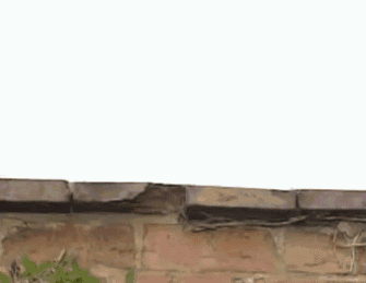 A Person Wearing White Gloves Is Reaching Over A Brick Wall With Their Hand . GIF