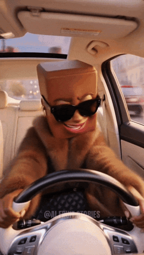 A Person With A Cardboard Box On Their Head Driving A Car GIF