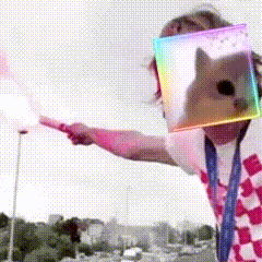 A Person With A Cat On Their Head GIF