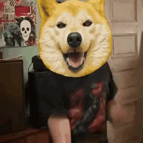 A Person With A Dog Head On Their Head GIF