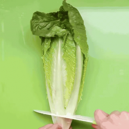 A Person With Red Nails Is Holding A Lettuce Leaf GIF