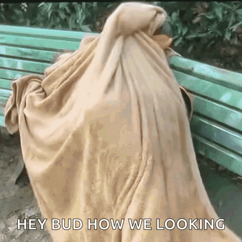 A Person Wrapped In A Blanket Sitting On A Bench With The Words Hey Bud How We Looking GIF