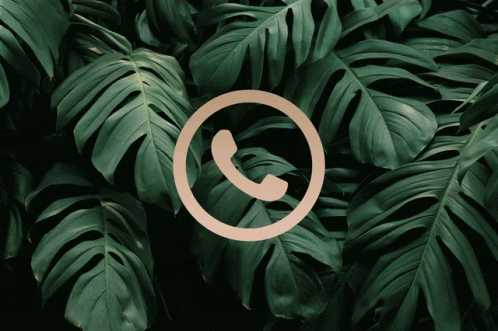 A Phone Icon Surrounded By Green Leaves GIF