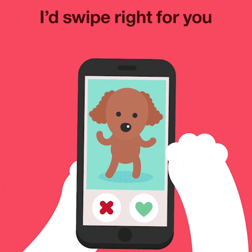 A Phone With A Picture Of A Cat And The Words " I 'D Swipe Right For You " Above It GIF