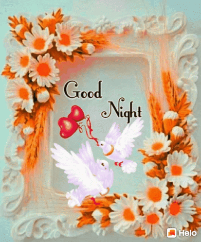 A Picture Frame With Flowers And Birds And The Words " Good Night " GIF