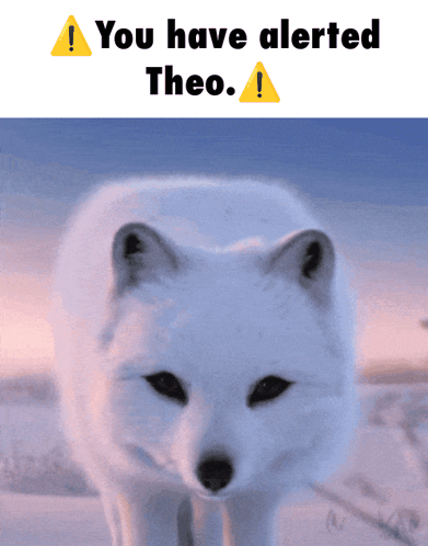 A Picture Of A Arctic Fox With The Words You Have Alerted Theo GIF