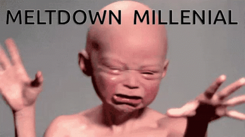 A Picture Of A Baby Crying With The Words Meltdown Millenial Above It GIF