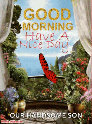 A Picture Of A Balcony With Flowers And A Butterfly Says Good Morning Have A Nice Day GIF
