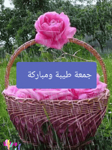 A Picture Of A Basket Of Pink Roses With Arabic Writing On It GIF
