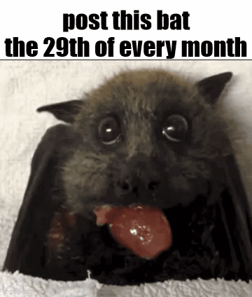 A Picture Of A Bat Eating A Piece Of Meat With The Caption Post This Bat The 29Th Of Every Month GIF