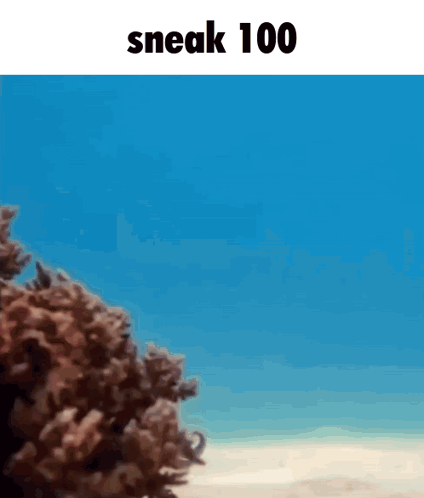 A Picture Of A Beach And The Words Sneak 100 GIF