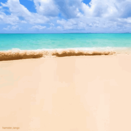 A Picture Of A Beach With The Name Hamster_tango At The Bottom GIF