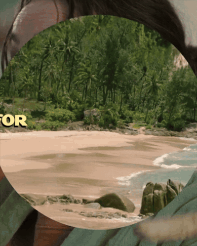 a picture of a beach with the word survivor in yellow