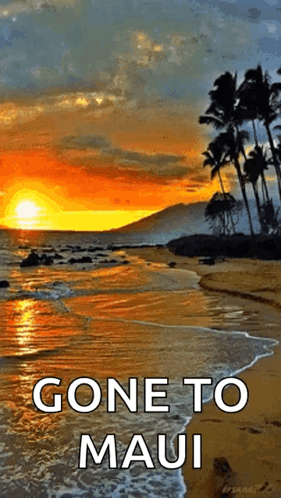 A Picture Of A Beach With The Words " Gone To Maui " GIF