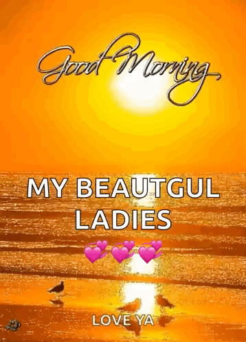 a picture of a beach with the words " good morning my beautiful ladies love ya "