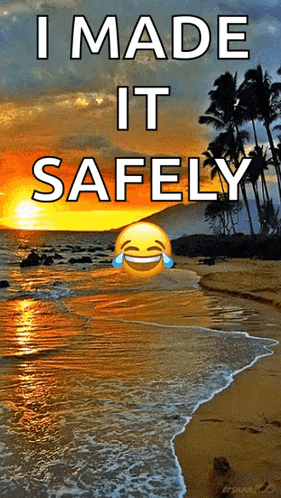 A Picture Of A Beach With The Words I Made It Safely Above It GIF