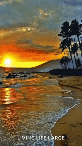 a picture of a beach with the words living life large