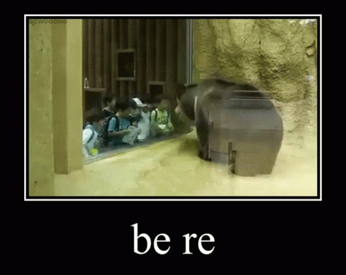 A Picture Of A Bear In A Cage With The Words Be Re On The Bottom GIF