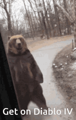 A Picture Of A Bear Standing On Its Hind Legs With The Words Get On Diablo Iv On The Bottom GIF