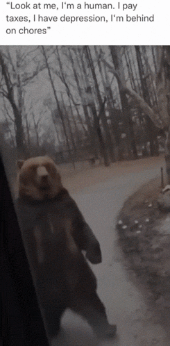 A Picture Of A Bear With A Caption That Says " Look At Me I 'M A Human GIF