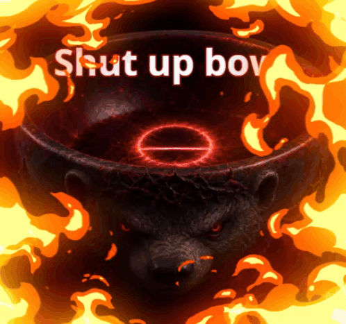 A Picture Of A Bear With The Words " Shut Up Boy " Above It GIF