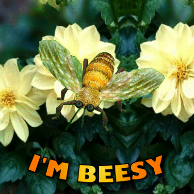A Picture Of A Bee With The Words I 'M Beesy Underneath It GIF