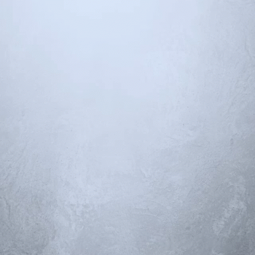 A Picture Of A Bee With The Words Meant To Behind It GIF