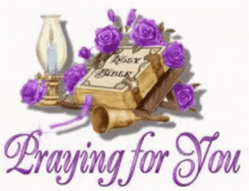 A Picture Of A Bible Surrounded By Purple Roses And The Words Praying For You . GIF