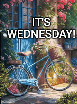 A Picture Of A Bicycle With The Words " It 'S Wednesday " On It GIF