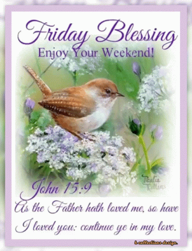 A Picture Of A Bird With The Words Friday Blessing Enjoy Your Weekend On It GIF