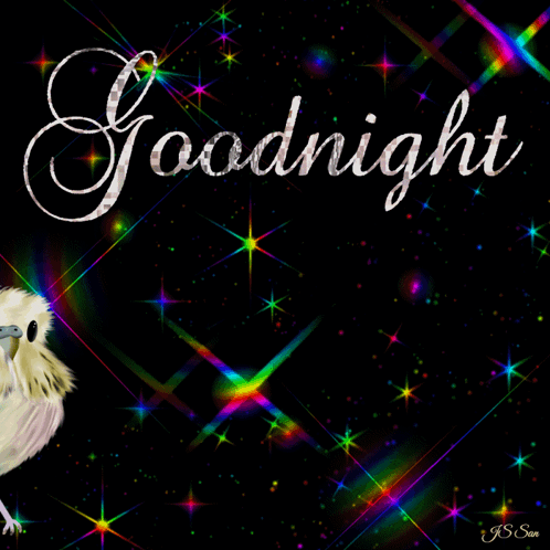 A Picture Of A Bird With The Words Goodnight Written On It GIF