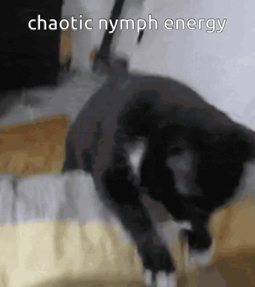A Picture Of A Black Cat With The Words Chaotic Nymph Energy Written Above It GIF