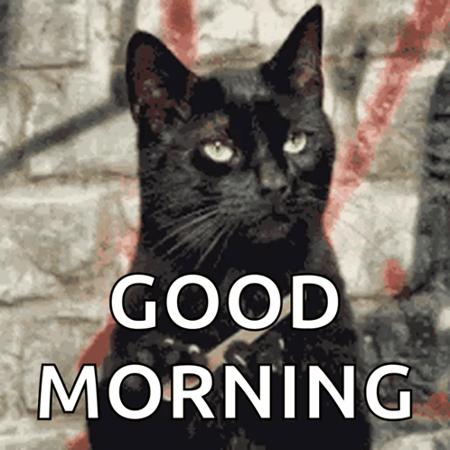 A Picture Of A Black Cat With The Words Good Morning Below It GIF