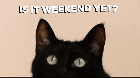 A Picture Of A Black Cat With The Words Is It Weekend Yet Below It GIF