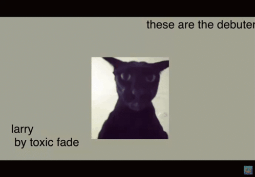 A Picture Of A Black Cat With The Words Larry By Toxic Fade GIF
