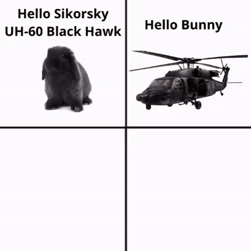 A Picture Of A Black Hawk Helicopter And A Picture Of A Black Bunny GIF
