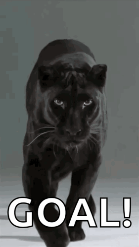 A Picture Of A Black Panther With The Words Goal Written Below It GIF