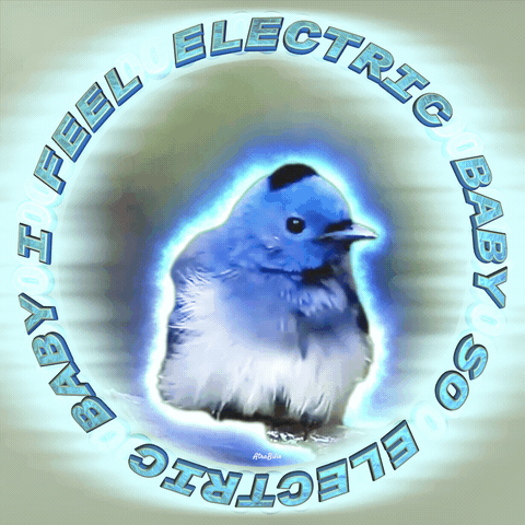 A Picture Of A Blue Bird With The Words " Baby I Feel Electric So Electric " Around It GIF