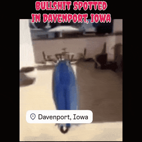 a picture of a blue object with the words bullshit spotted in davenport iowa above it