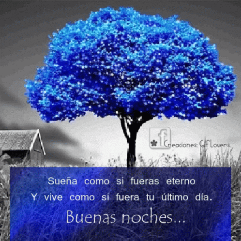 A Picture Of A Blue Tree With The Words Suena Como Si Fueras Eterno GIF